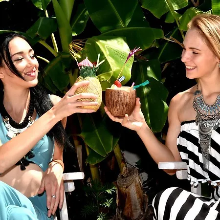 Palm - Adults Only Cos