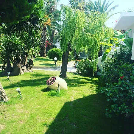 Palm - Adults Only Cos