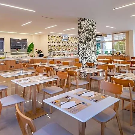 Palm - Adults Only 3* Kosz