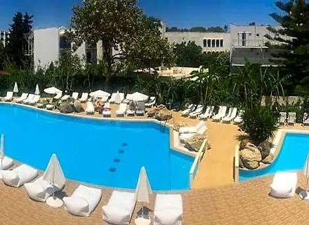 Palm - Adults Only Kosz