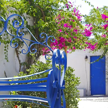 Hotel Palm - Adults Only