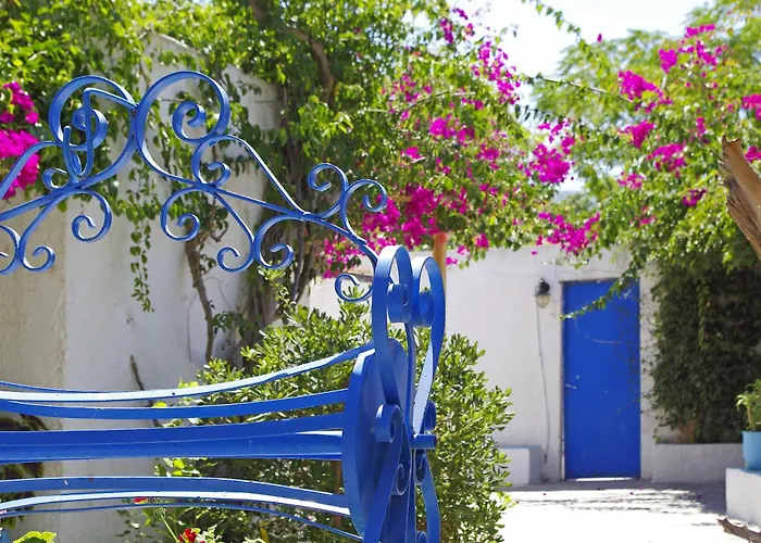 Отель Palm - Adults Only